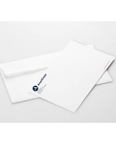 AmeriCorps 9x12 Envelope